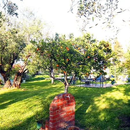 House!! Apartament *