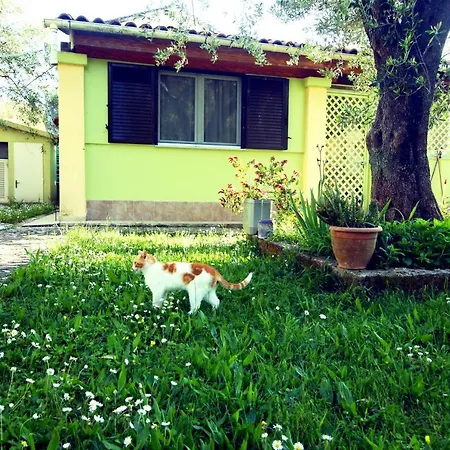 House!! شقة